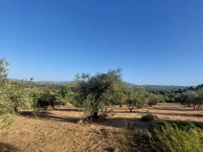 foto17
