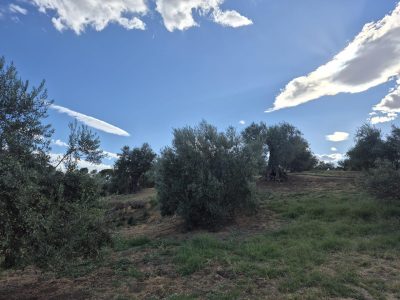 foto24