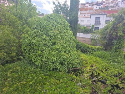 foto36