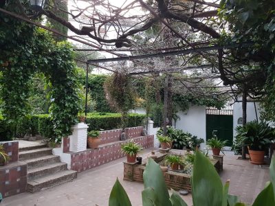 foto40